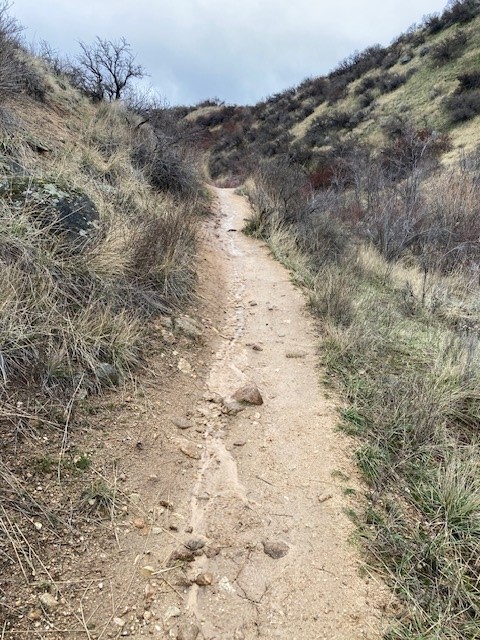 Lower Hulls Gulch Trail