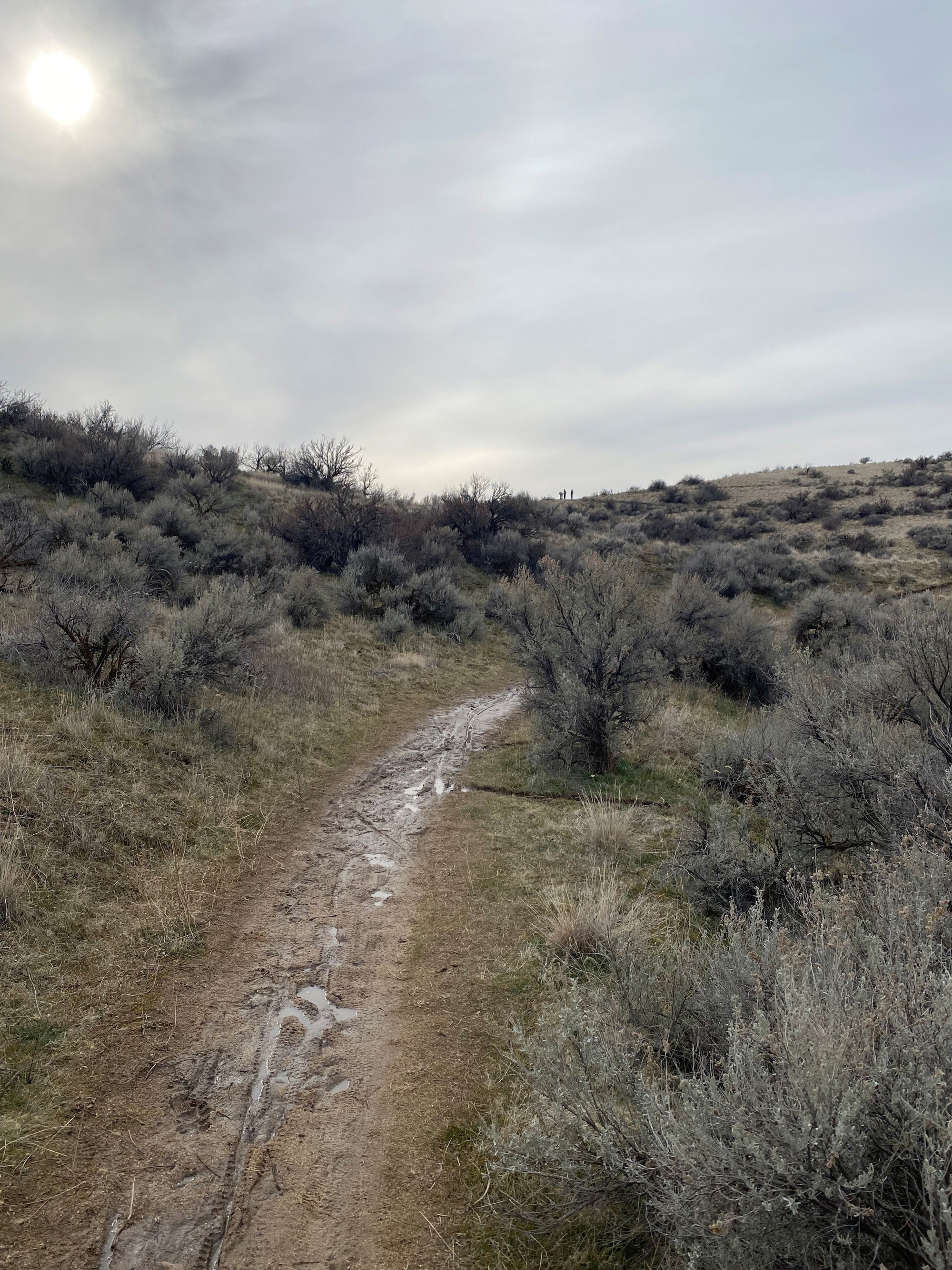 February 2 Trail Report | Ridge to Rivers