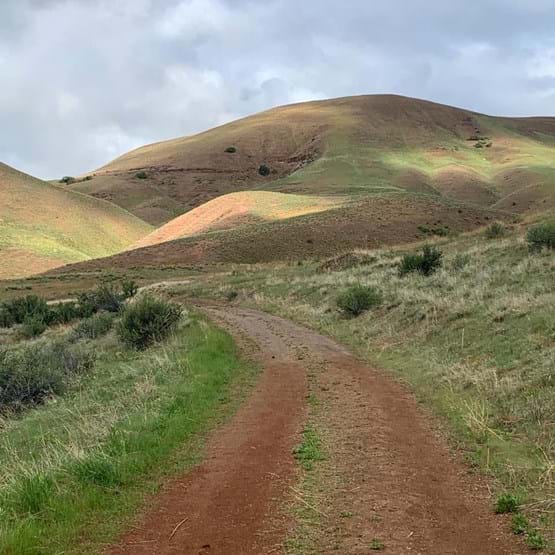 Homestead Trail #12 in Boise River Wildlife Management Area