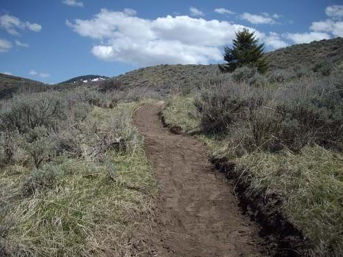 Hard Guy Trail #33 in Central Foothills