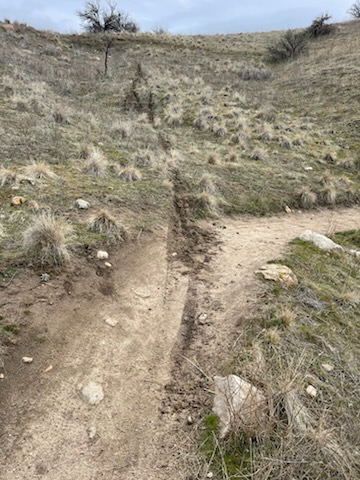 E Motorcycle Cut Off Kestrel Trail