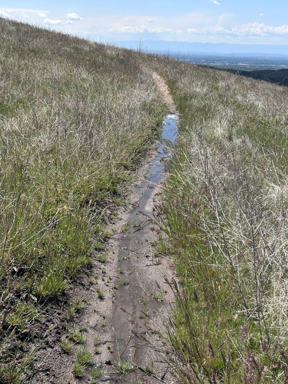 April 30 Trail Report | Ridge to Rivers