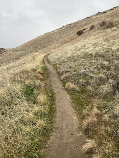 Central Ridge Point December 11 Trail Report | Ridge to Rivers