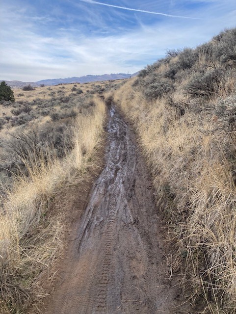 February 8 Trail Report | Ridge to Rivers