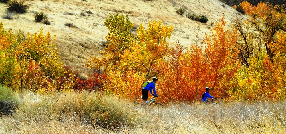 Bikers riding on trail through fall foliage. 