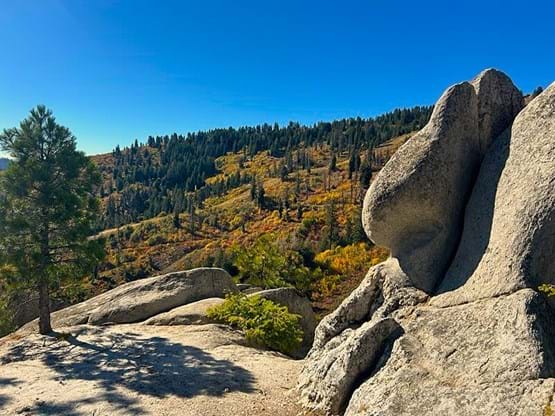 Fall trees change color in the background of rock outcropping on Around the Mountain Trail. 
