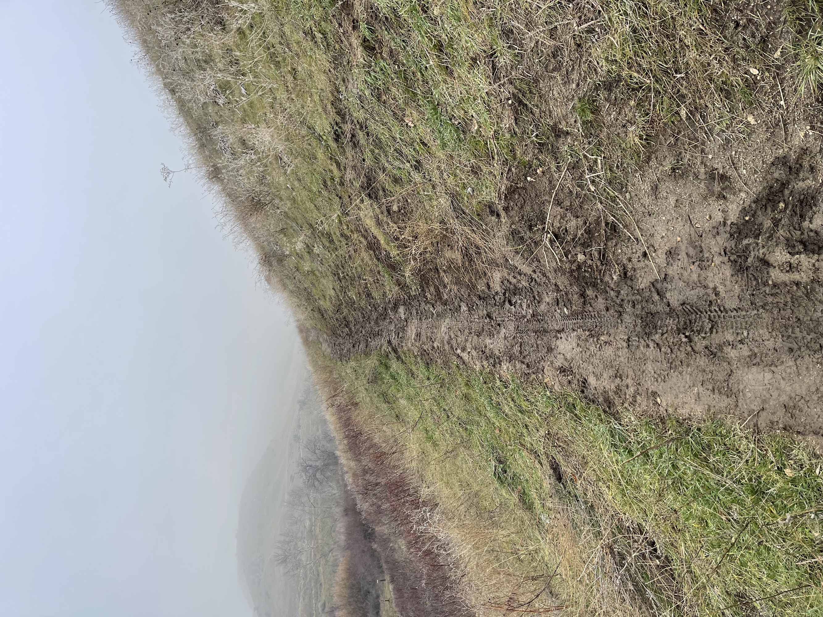 January 16 Trail Report | Ridge to Rivers