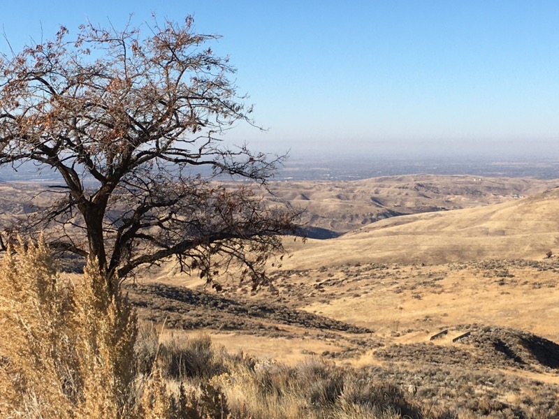 Hawkins Loop Construction