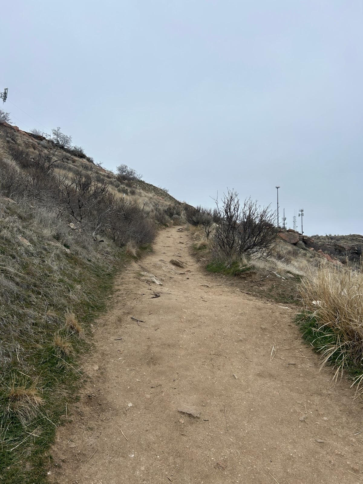 January 22 Trail Report | Ridge to Rivers