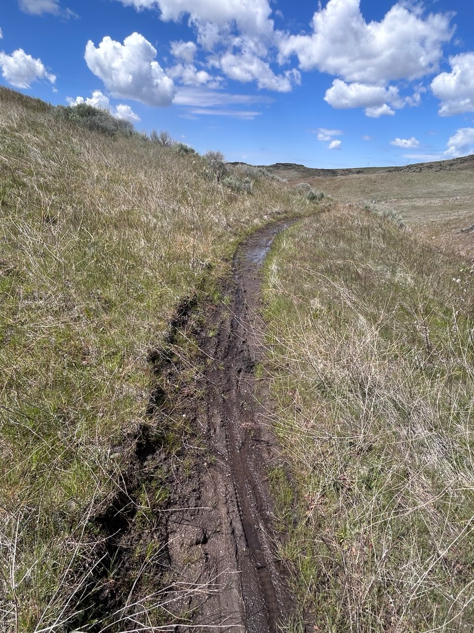 April 30 Trail Report | Ridge to Rivers