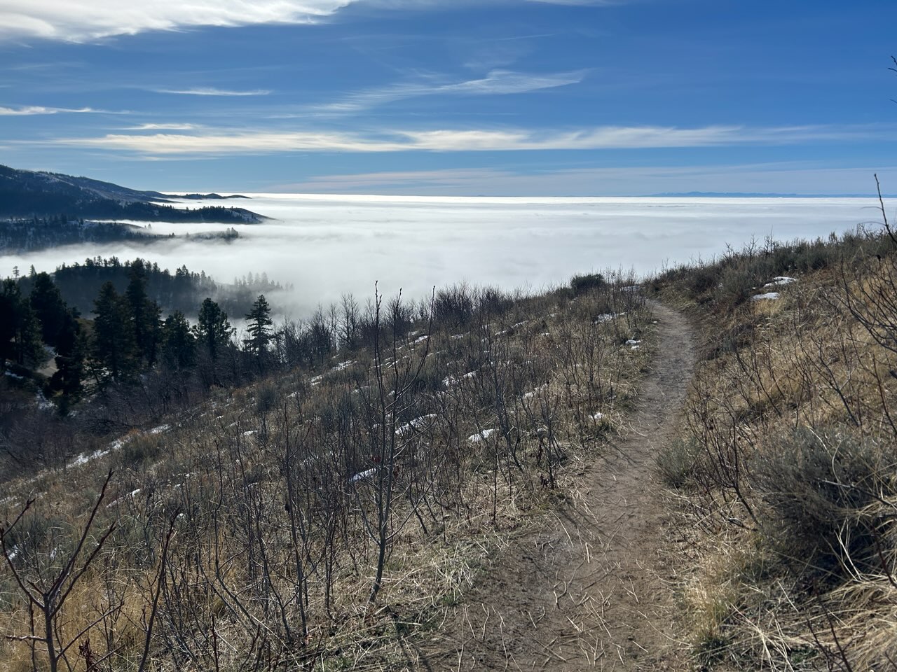 Trail Stack January 21 Trail Report | Ridge to Rivers
