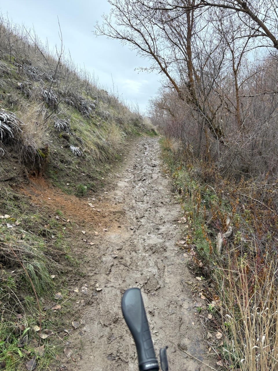 Cottonwood Creek Trail Still Muddy