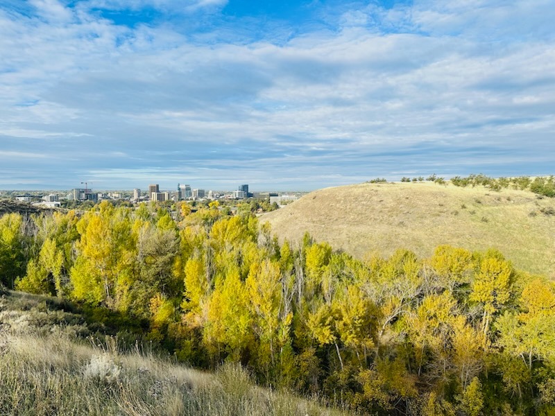 Cityscape over tree line from trail with fall sun highlighting the trees.