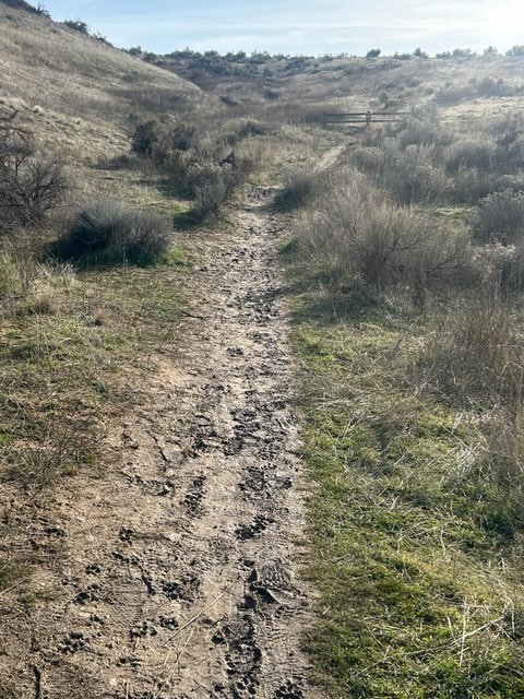 Santral Ridge January 14 Trail Report | Ridge to Rivers
